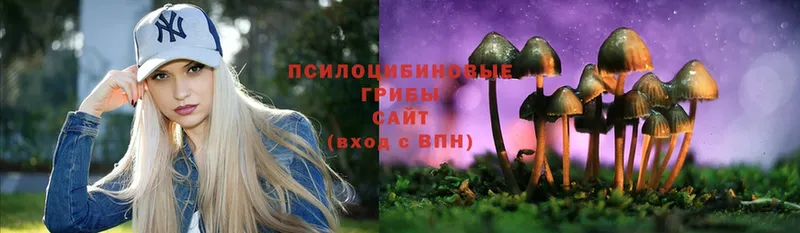 Псилоцибиновые грибы Magic Shrooms  darknet состав  Алдан 